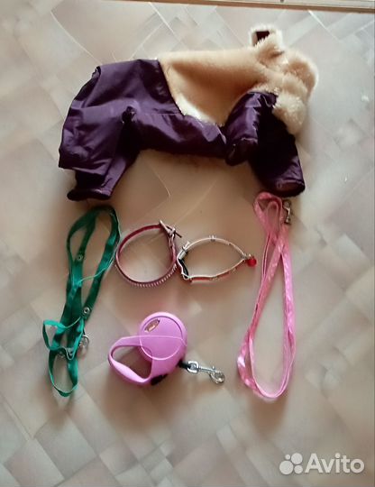 Одежда для маленьких собак