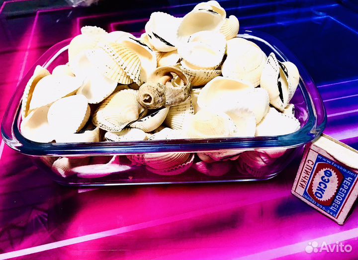 Морские ракушки для handmade эпоксидной смолы