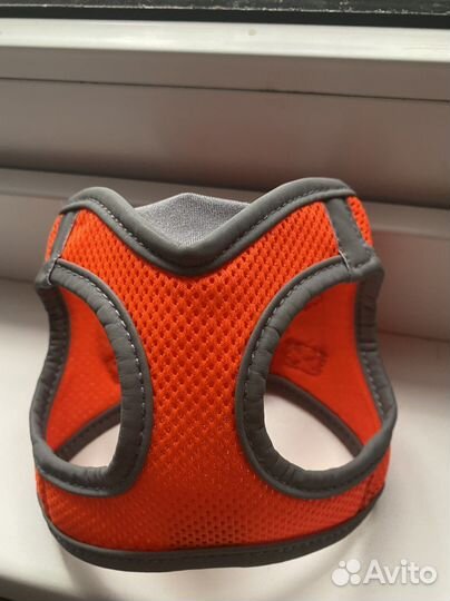 Шлейка для маленькой собачки