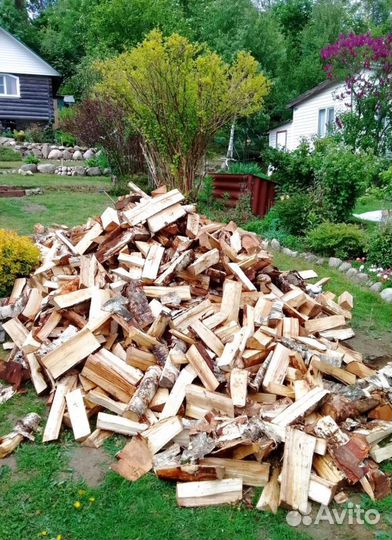 Дрова Осина навалом