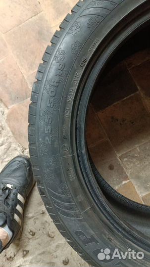 Dunlop All Season Maxx AS1 235/55 R19 и 335/50 R19