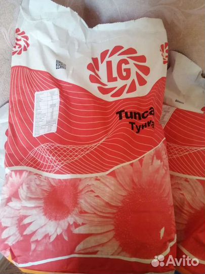 Семена подсолнечника гибрид