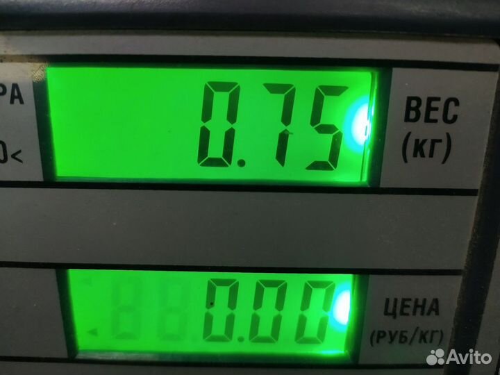 81664205553 Кронштейн заднего крыла