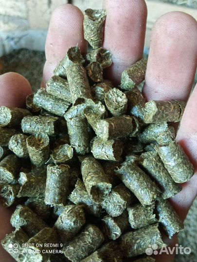 Продам сено