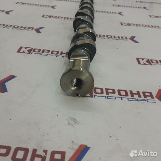 Распредвал (выпуск) audi A3