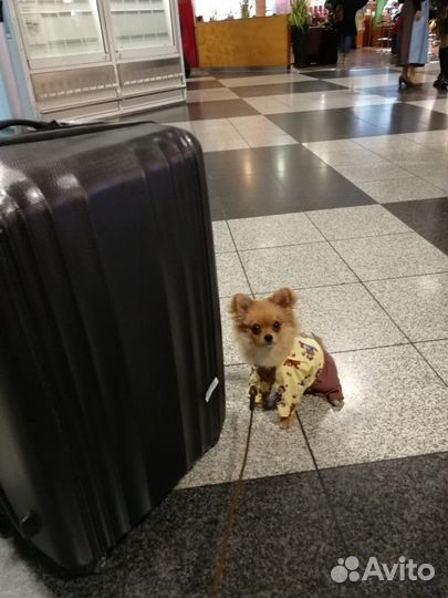 Парень согласен жениться