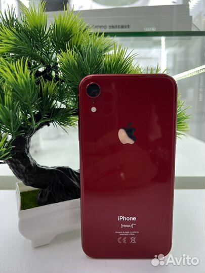 iPhone Xr, 128 ГБ