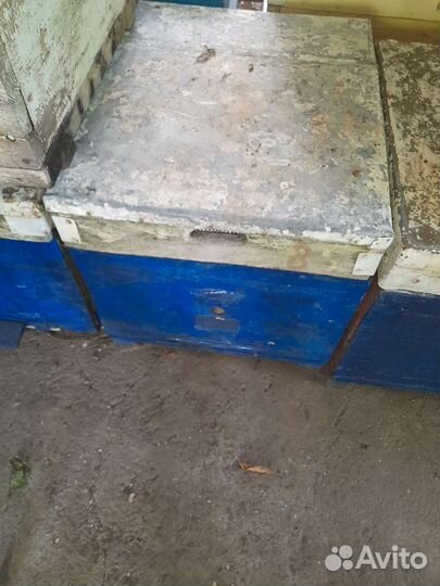 Улей для пчел рут