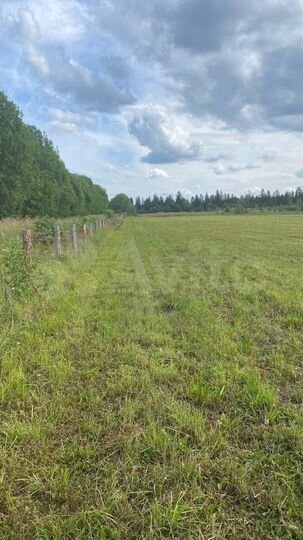 Участок 5,9 га (СНТ, ДНП)