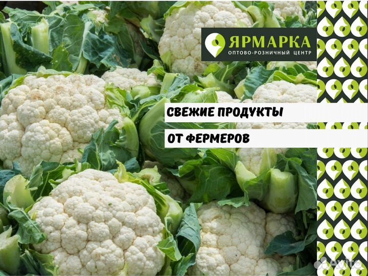 Цветная капуста оптом