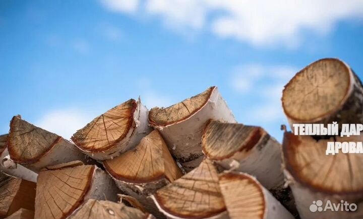Дрова