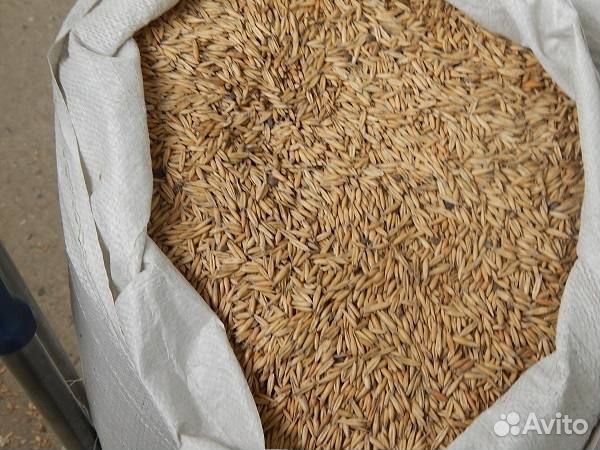 Овёс в мешках