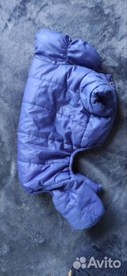 Вещи для маленьких собак