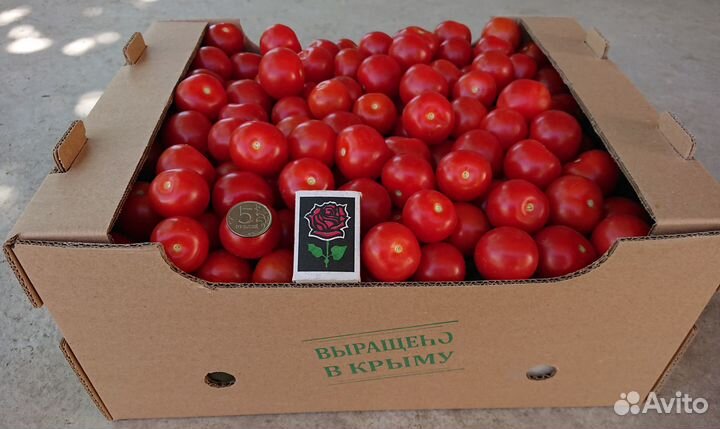 Помидоры черри(2024)