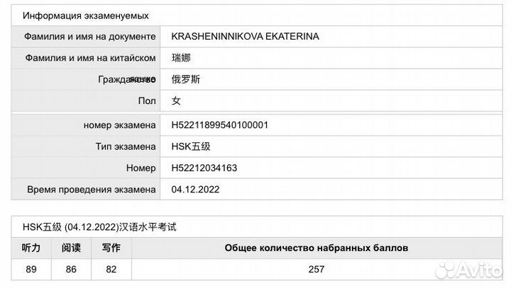 Переводчик китайского языка