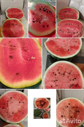 Набор семян вкусных арбузов и дынь