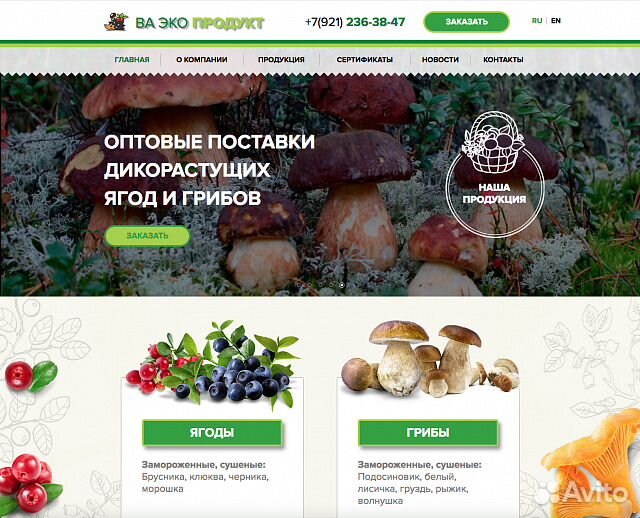 Создание и продвижение сайтов в Ростове-на-Дону