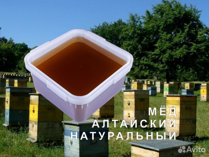 Мед натуральный алтайский опт