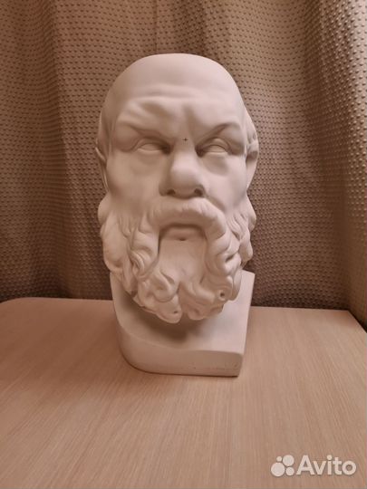 Гипсовая голова Сократа, бюджет мархи