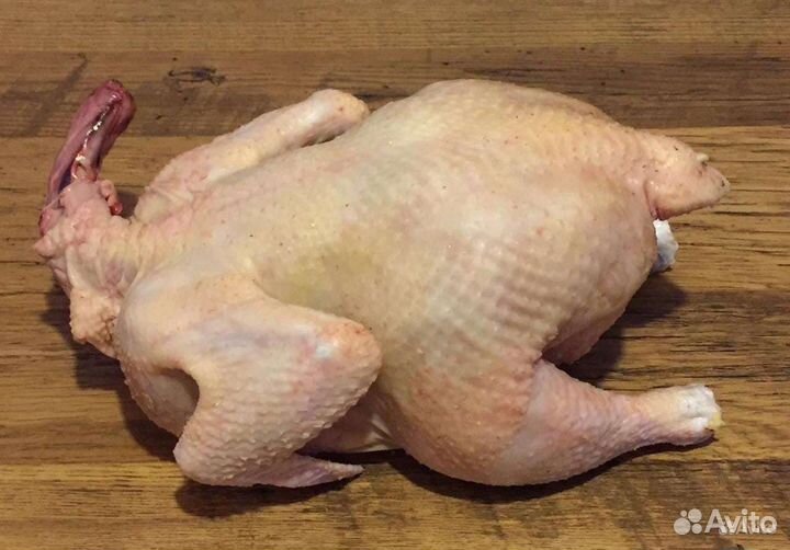 Домашние куры бройлеры