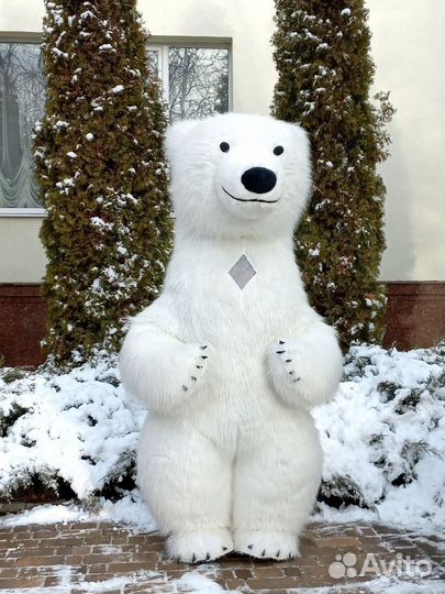 Поздравление от Белого Медведя