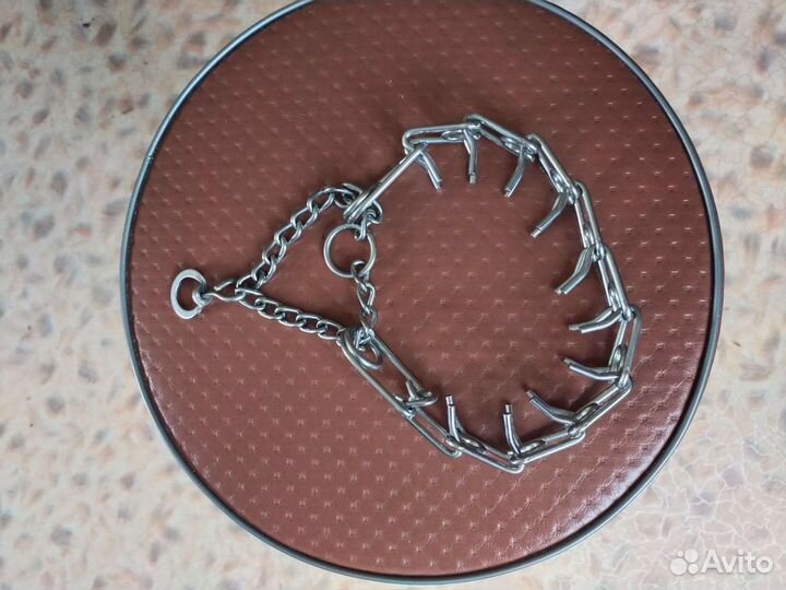 Строгий ошейник для собак