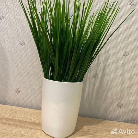 Осока искуственная