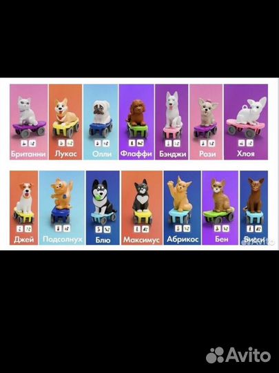 Скейтеры лента