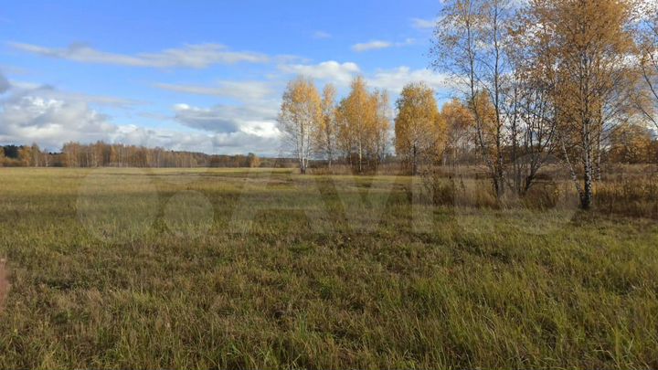 Участок 30 сот. (ИЖС)