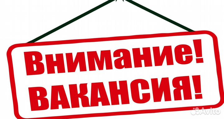 Водитель в компанию