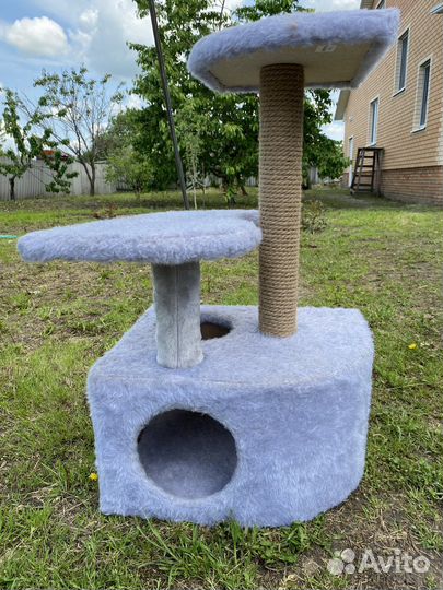 Когтеточка