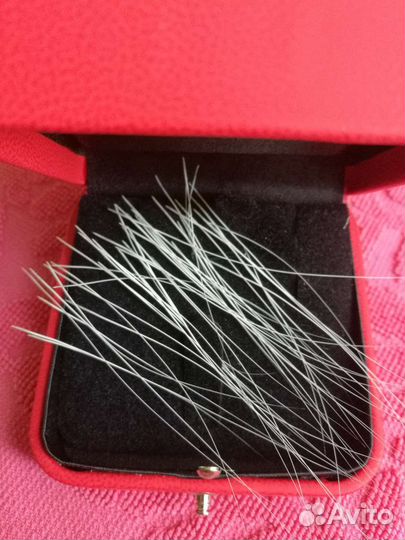 Кошачьи усы