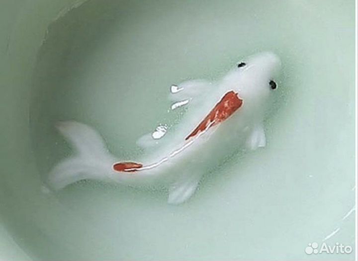 Пиала для чая