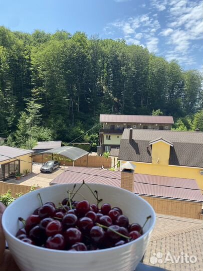 Отдых в горах с бассейном