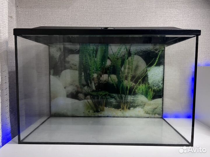 Аквариум