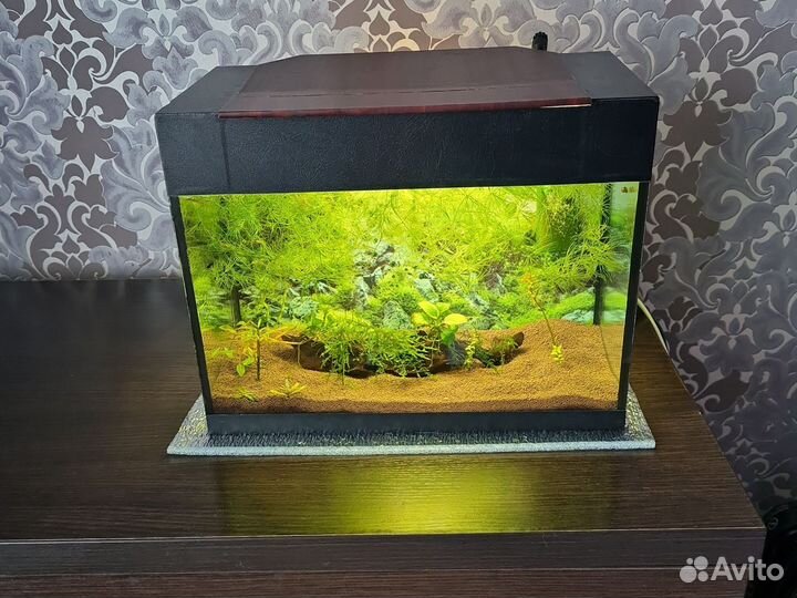 Аквариум