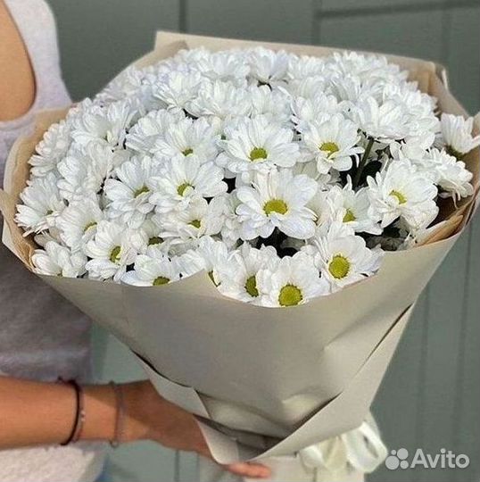 Хризантема Букет хризантем Доставка