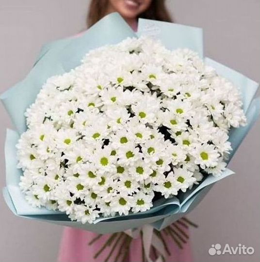 Хризантема. Букеты Цветы доставка