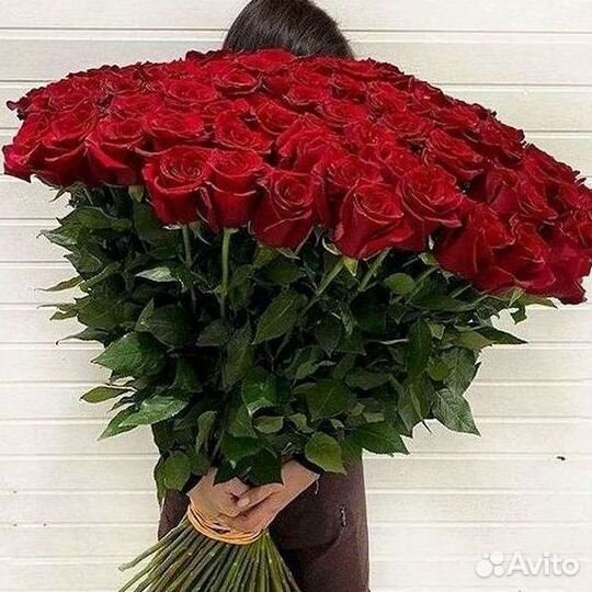 Высокие розы Гигантские Розы 150 160 170 180 190см