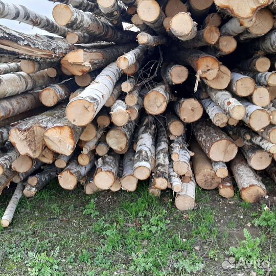 Дрова дуб