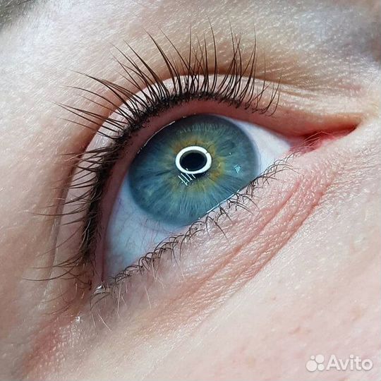 Модель на перманентный макияж бровей,губ,век