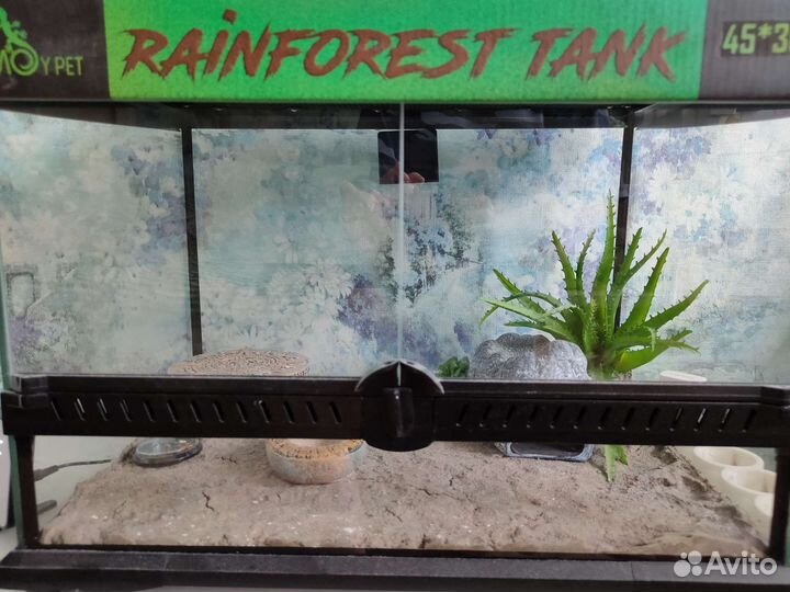 Террариум для рептилий бу