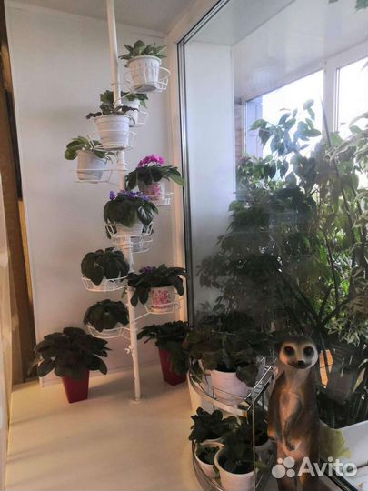 Этажерка для цветов