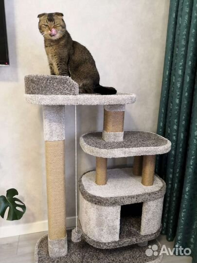 Домик когтеточка