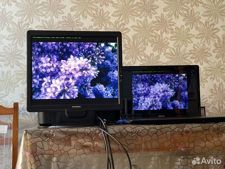 Монитор hyundai x71s 17“ LCD