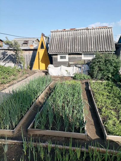 Дом 48 м² на участке 4,5 сот.