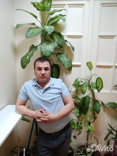 Штукатур маляр