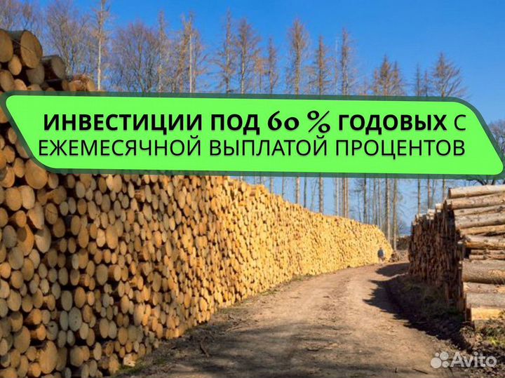 Инвестиции / Пассиный доход до 60% годовых