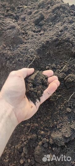 Земля чернозем плодородный