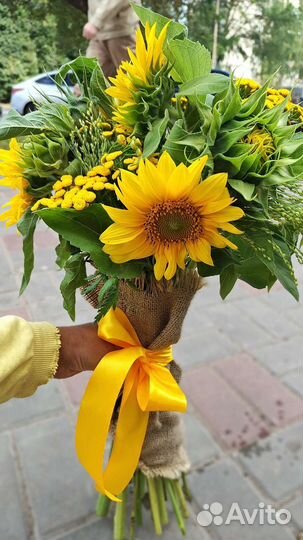 Сухоцветы колоски подсолнухи